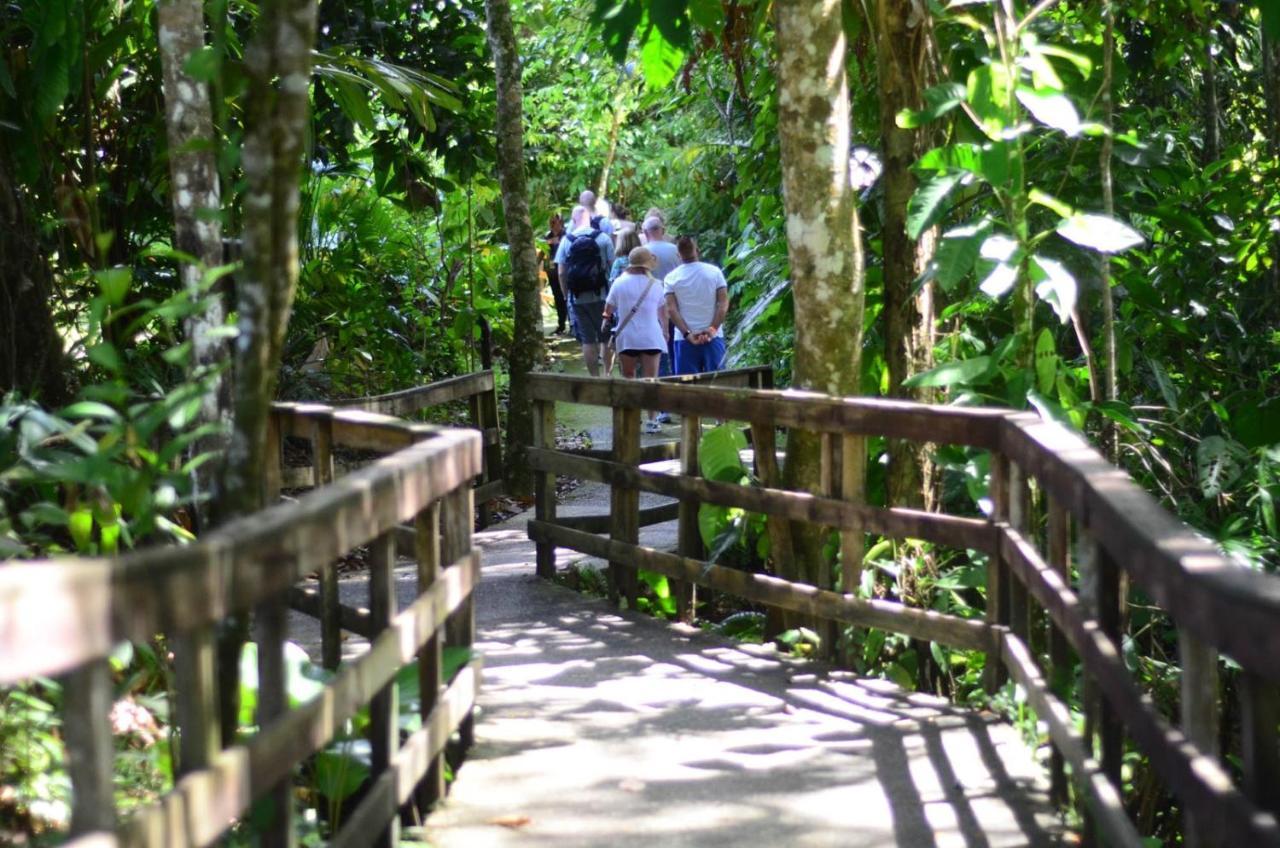 Veragua Rainforest Puerto Limon Exterior photo